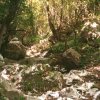 img047