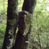 dscf1724