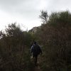 dscf1736