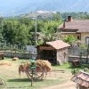 06sagra_0004
