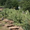 06sagra_0010