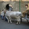 15luglio06_0004