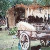 2sagra.img145